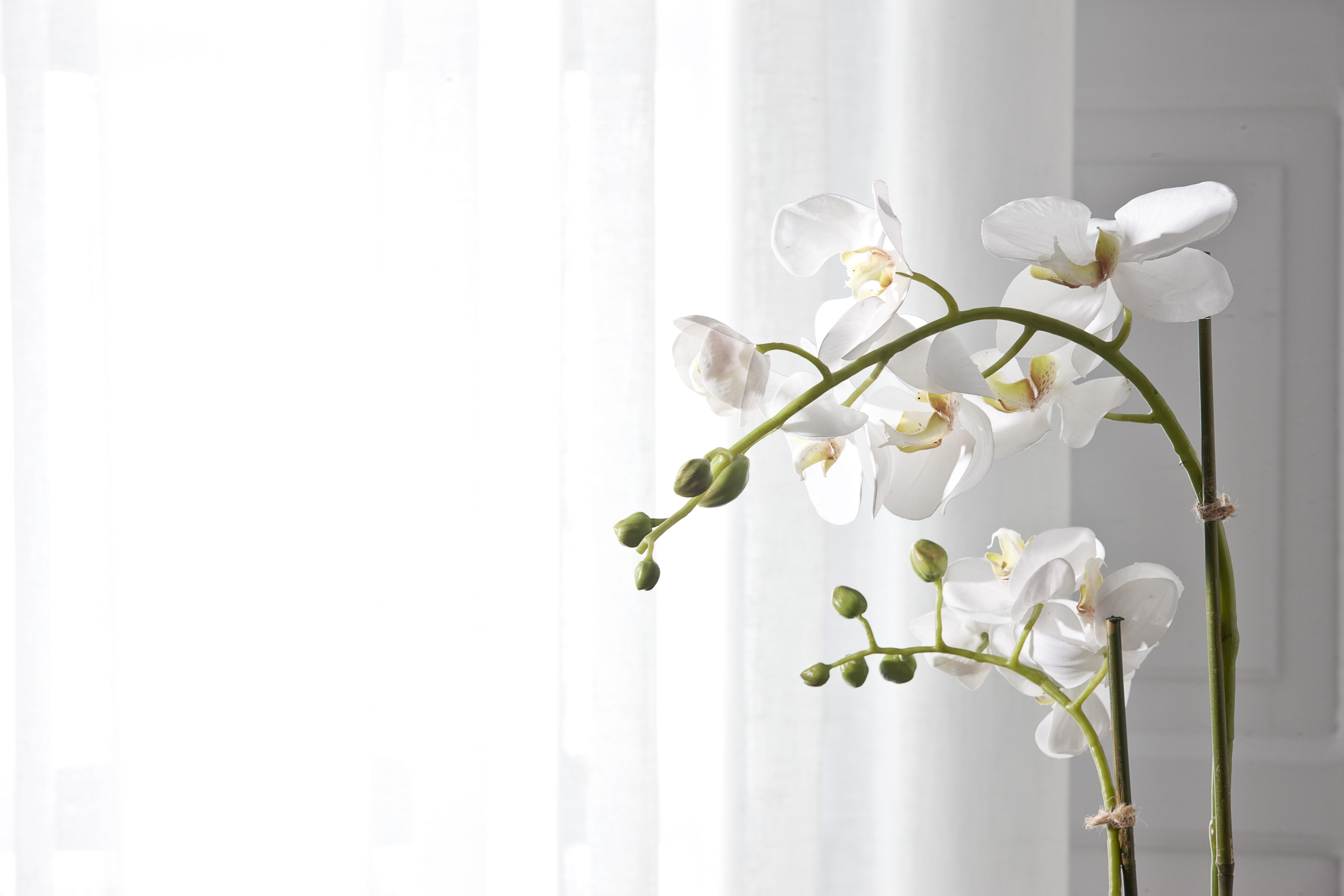 Belvedere Suites Firostefani Ngoại thất bức ảnh